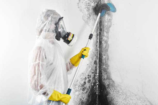 Best Asbestos and Lead Testing During Mold Inspection  in Doffing, TX