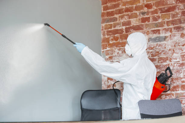 Best Attic Mold Removal  in Doffing, TX