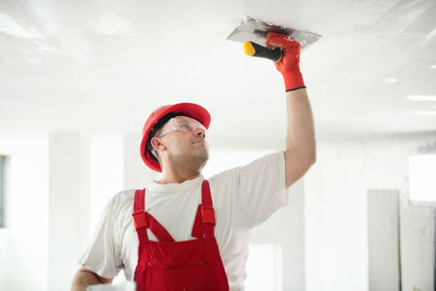 Best Dehumidification Services  in Doffing, TX
